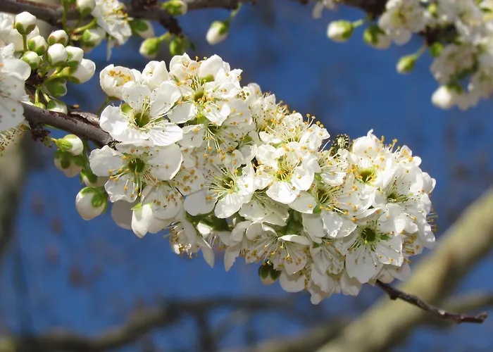 Paraíso Azul Eira do Chão